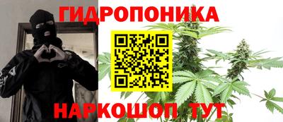 соль ск Гатчина
