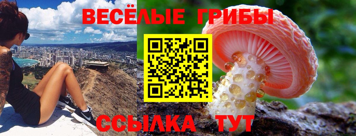 Губкин  Галлюциногенные грибы MAGIC MUSHROOMS  Вход с VPN 