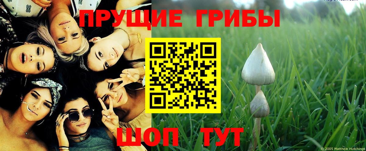 Галлюциногенные грибы ЛСД Губкин